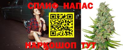 гидра Малгобек