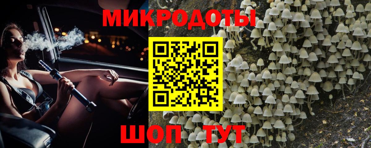 Псилоцибиновые грибы мицелий Грязи